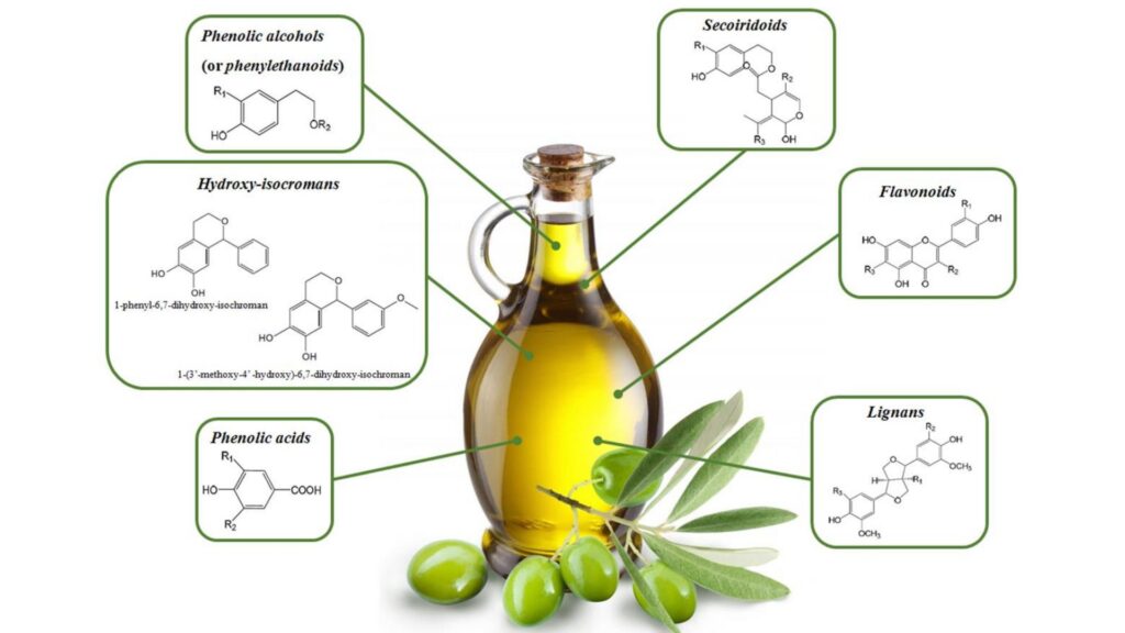 nutrients polyphenol extra virgin olive oil